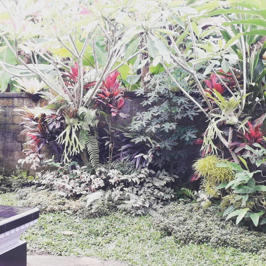 D'Sari Undisan Houses Bangli 外观 照片